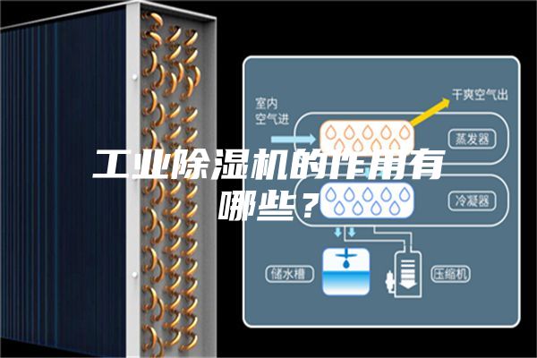 工業除濕機的作用有哪些？