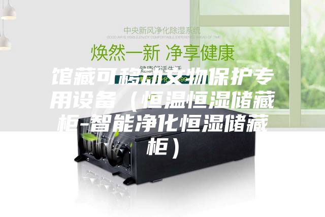 館藏可移動文物保護專用設備(恒溫恒濕儲藏柜-智能凈化恒濕儲藏柜)