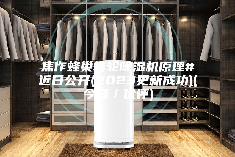 焦作蜂巢轉輪除濕機原理#近日公開(2023更新成功)(今日/優評)