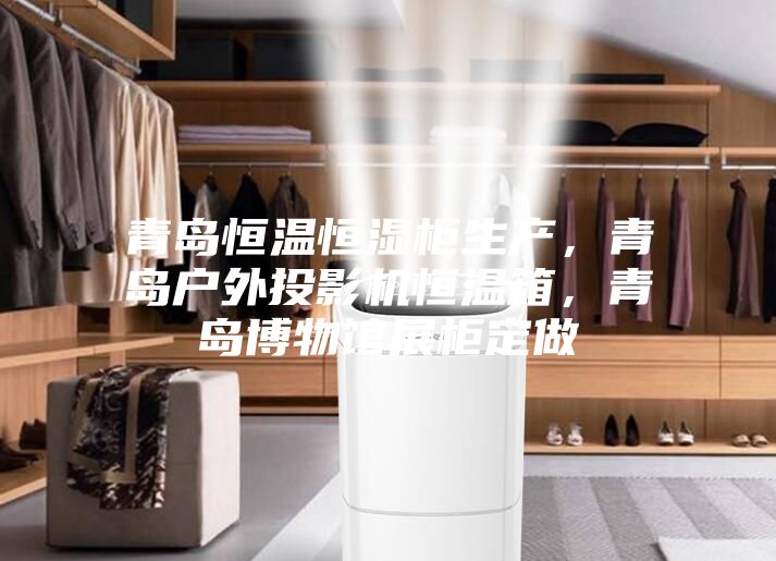 青島恒溫恒濕柜生產,青島戶外投影機恒溫箱,青島博物館展柜定做