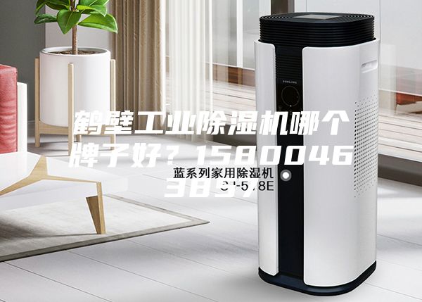 鶴壁工業(yè)除濕機(jī)哪個牌子好？15800463857