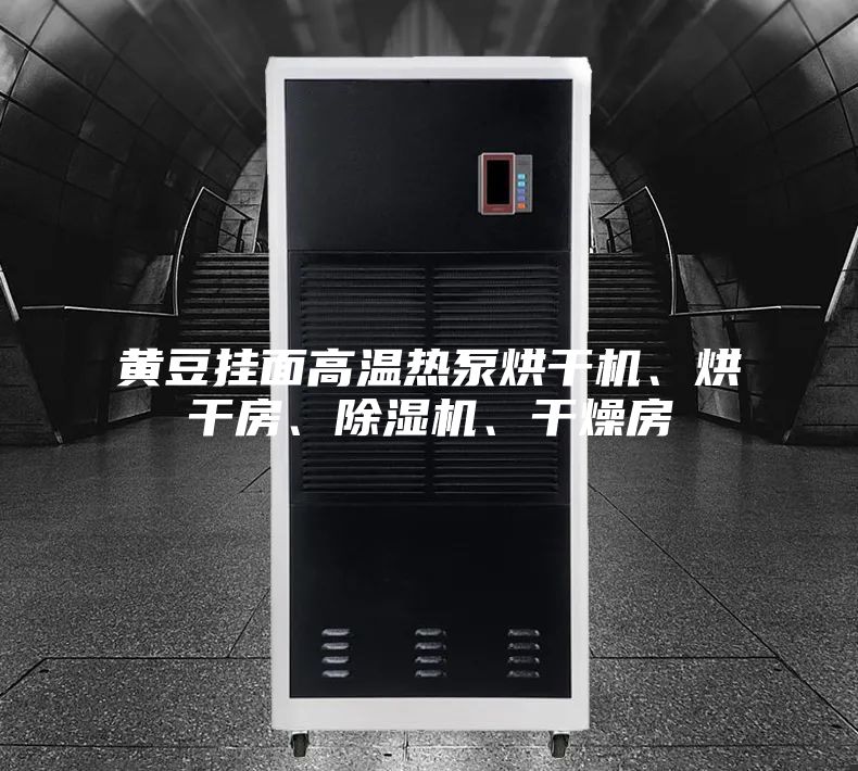 黃豆掛面高溫熱泵烘干機、烘干房、除濕機、干燥房
