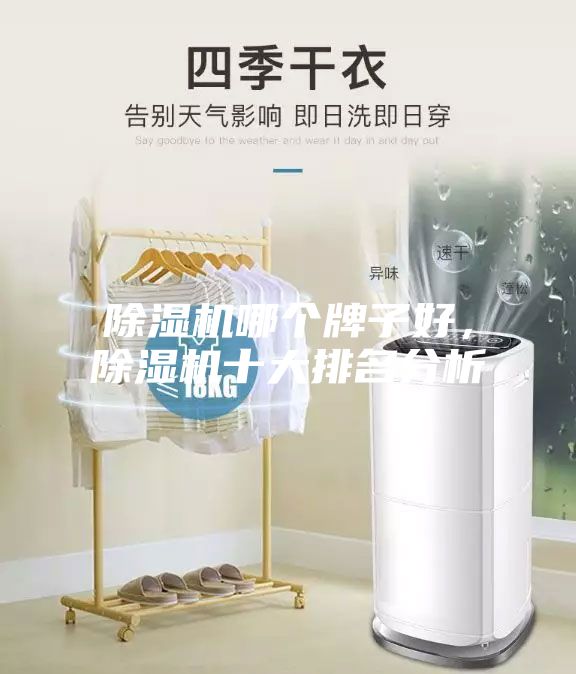 除濕機哪個牌子好,除濕機十大排名分析