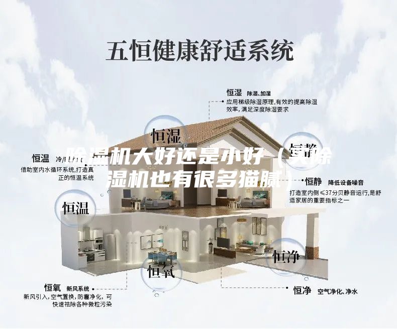 除濕機大好還是小好(買除濕機也有很多貓膩)