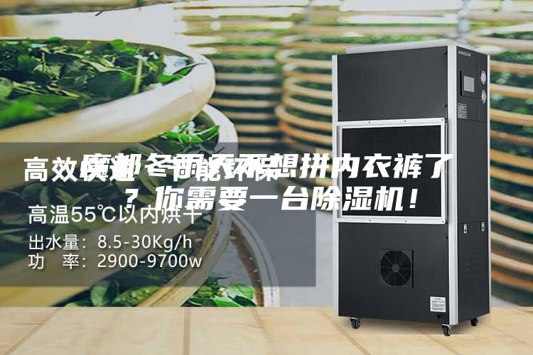 魔都冬雨天不想拼內(nèi)衣褲了？你需要一臺除濕機(jī)！