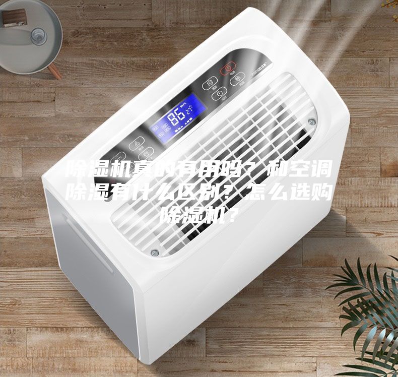 除濕機真的有用嗎?和空調除濕有什么區別?怎么選購除濕機?