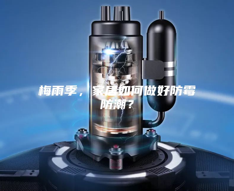 梅雨季，家居如何做好防霉防潮？