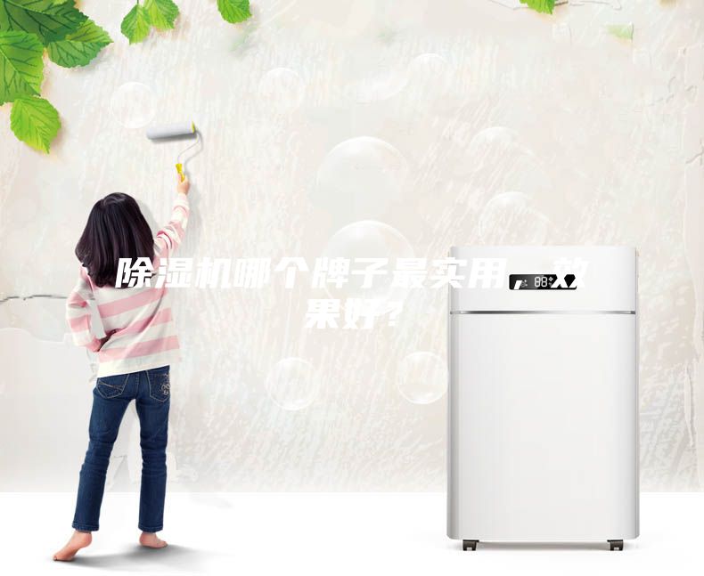 除濕機哪個牌子最實用，效果好？