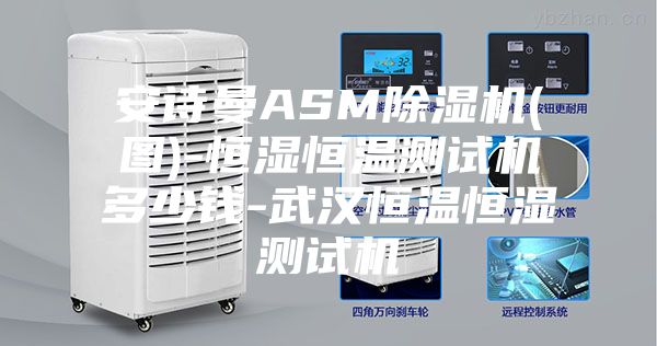 安詩曼ASM除濕機(jī)(圖)-恒濕恒溫測試機(jī)多少錢-武漢恒溫恒濕測試機(jī)