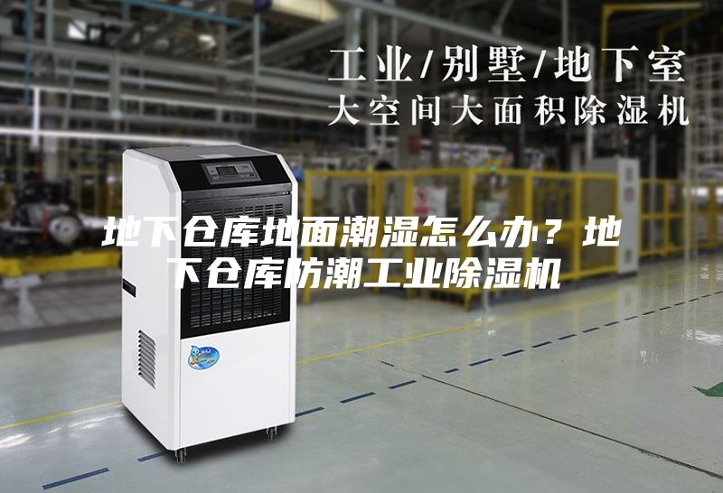 地下倉庫地面潮濕怎么辦?地下倉庫防潮工業除濕機