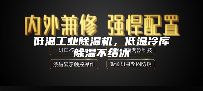 低溫工業(yè)除濕機,低溫冷庫除濕不結(jié)冰