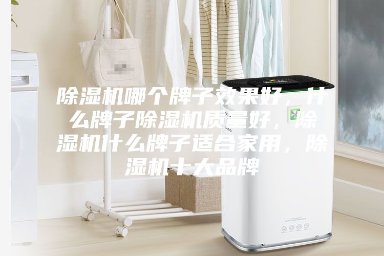 除濕機哪個牌子效果好,什么牌子除濕機質量好,除濕機什么牌子適合家用,除濕機十大品牌