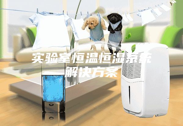 實(shí)驗(yàn)室恒溫恒濕系統(tǒng)解決方案