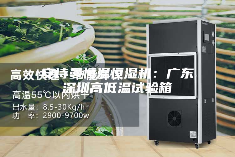 安詩曼恒溫恒濕機:廣東深圳高低溫試驗箱