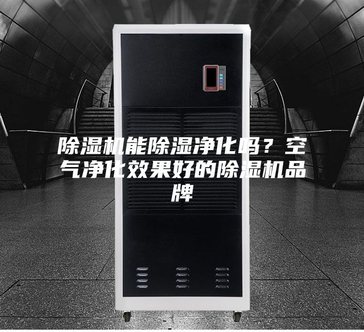 除濕機(jī)能除濕凈化嗎？空氣凈化效果好的除濕機(jī)品牌