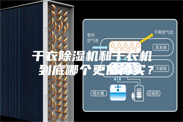 干衣除濕機和干衣機 到底哪個更值得買?