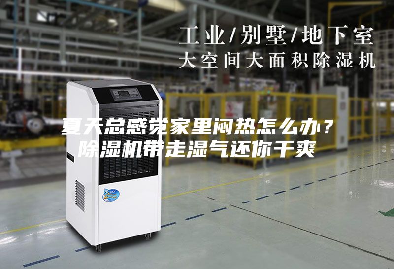 夏天總感覺家里悶熱怎么辦？除濕機帶走濕氣還你干爽