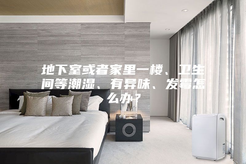 地下室或者家里一樓、衛生間等潮濕、有異味、發霉怎么辦?