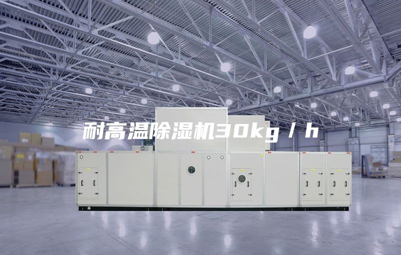 耐高溫除濕機30kg/h
