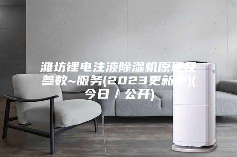 濰坊鋰電注液除濕機原理及參數(shù)~服務(2023更新中)(今日/公開)