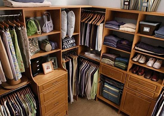 潮濕悶熱謹(jǐn)，當(dāng)心蛇出沒