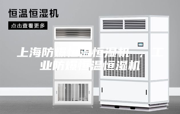 上海防爆恒溫恒濕機(jī) ，工業(yè)防爆恒溫恒濕機(jī)