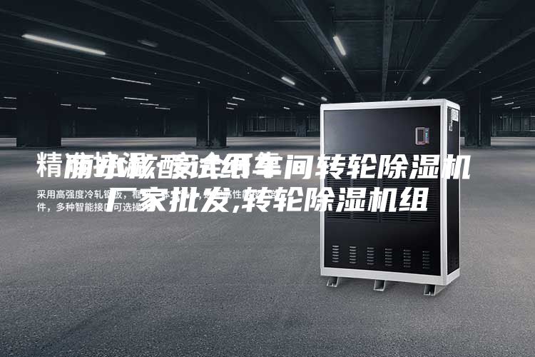 麗水核酸試紙車間轉輪除濕機廠家批發,轉輪除濕機組
