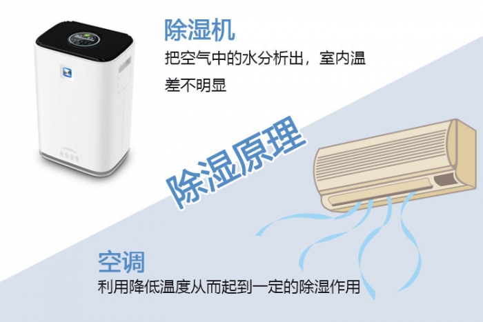 木雕工藝品的日常保養 防干防潮是重點