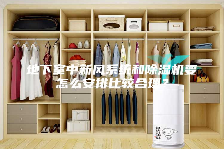 地下室中新風系統和除濕機要怎么安排比較合理？