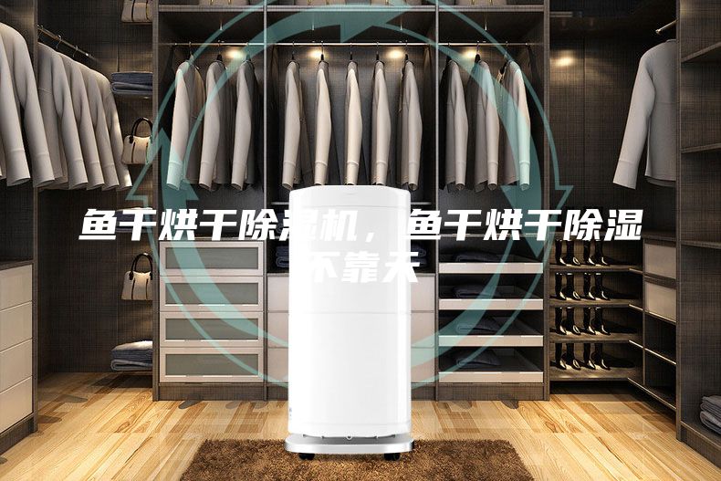 魚干烘干除濕機，魚干烘干除濕不靠天