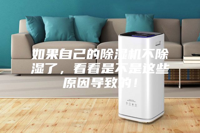 如果自己的除濕機(jī)不除濕了，看看是不是這些原因?qū)е碌模?></div>
								<div   id=