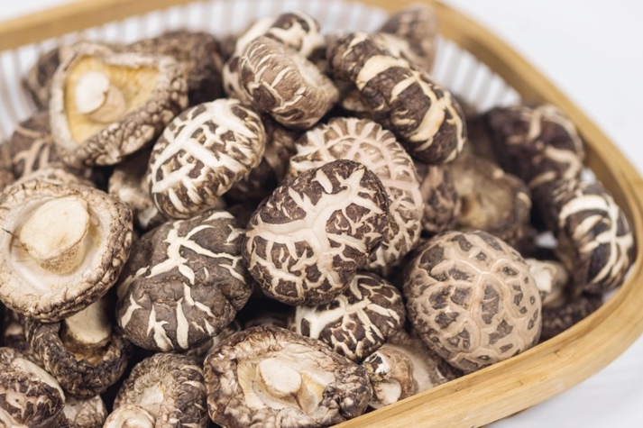 干貨倉庫怎么利用除濕機保持干爽？