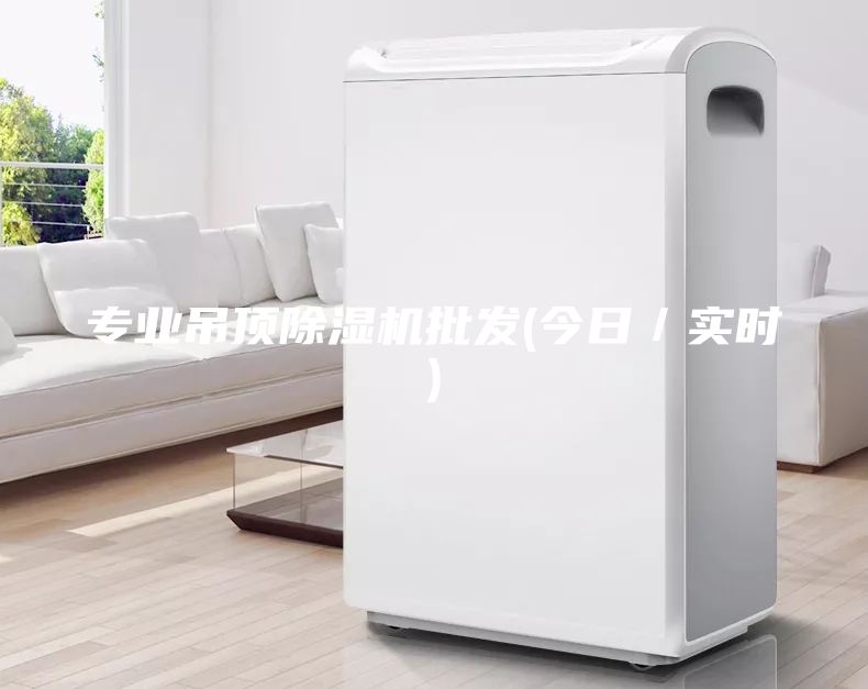 專業(yè)吊頂除濕機(jī)批發(fā)(今日／實時)