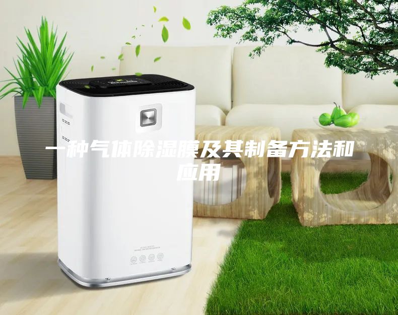 一種氣體除濕膜及其制備方法和應用