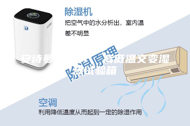 安詩曼-ASM  高低溫交變濕熱試驗(yàn)箱