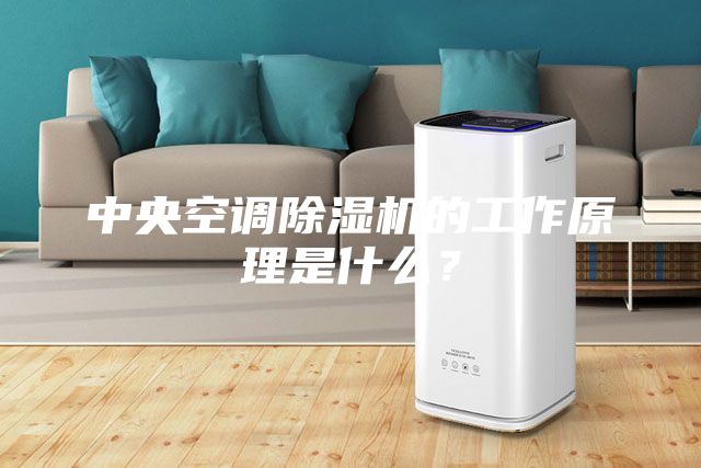 中央空調除濕機的工作原理是什么？