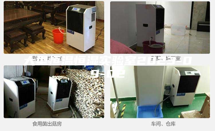 大型恒溫恒濕實(shí)驗(yàn)室2023-09-02