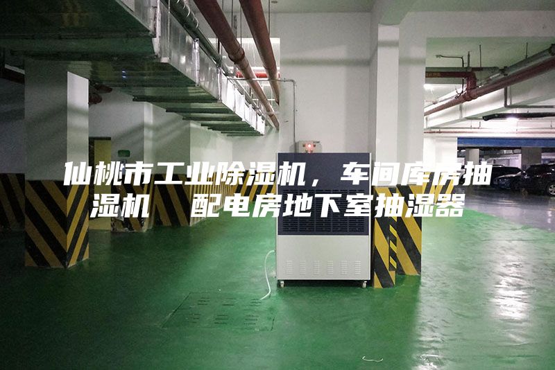 仙桃市工業(yè)除濕機(jī)，車間庫房抽濕機(jī)  配電房地下室抽濕器