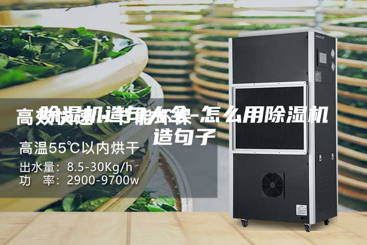 除濕機(jī)造句大全-怎么用除濕機(jī)造句子