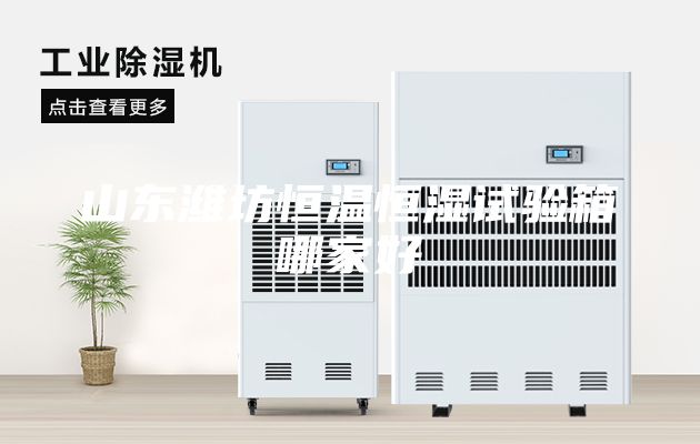 山東濰坊恒溫恒濕試驗箱哪家好