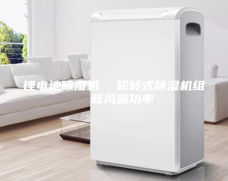 鋰電池除濕機(jī)  輪轉(zhuǎn)式除濕機(jī)組  新風(fēng)量功率