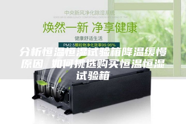 分析恒溫恒濕試驗(yàn)箱降溫緩慢原因 如何挑選購買恒溫恒濕試驗(yàn)箱