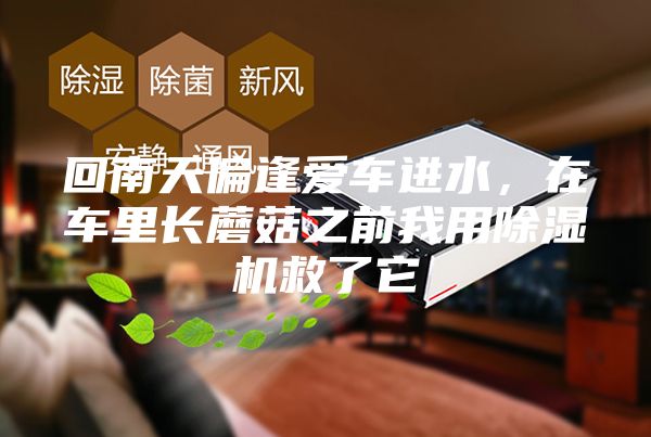 回南天偏逢愛車進(jìn)水，在車?yán)镩L蘑菇之前我用除濕機(jī)救了它