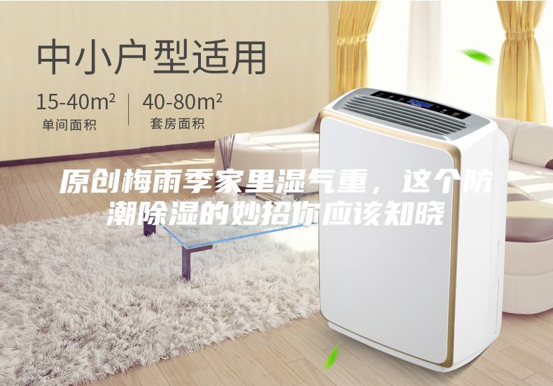 原創(chuàng)梅雨季家里濕氣重，這個防潮除濕的妙招你應該知曉