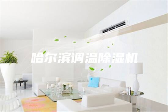 哈爾濱調溫除濕機