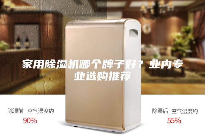 家用除濕機(jī)哪個牌子好？業(yè)內(nèi)專業(yè)選購?fù)扑]