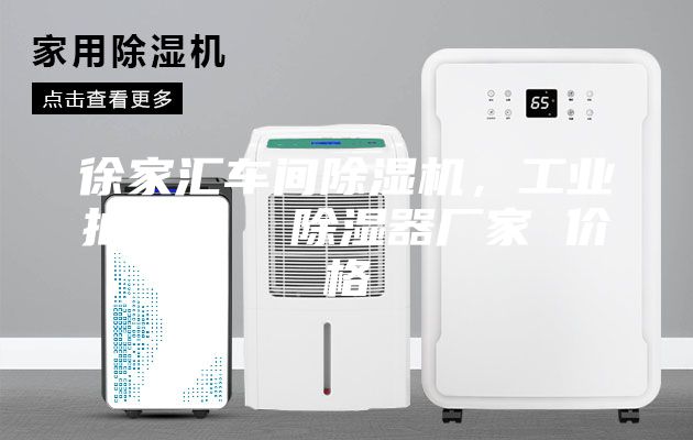 徐家匯車間除濕機，工業抽濕機  除濕器廠家 價格