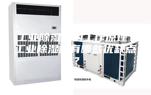 工業除濕機的工作原理？工業除濕機有哪些優缺點？