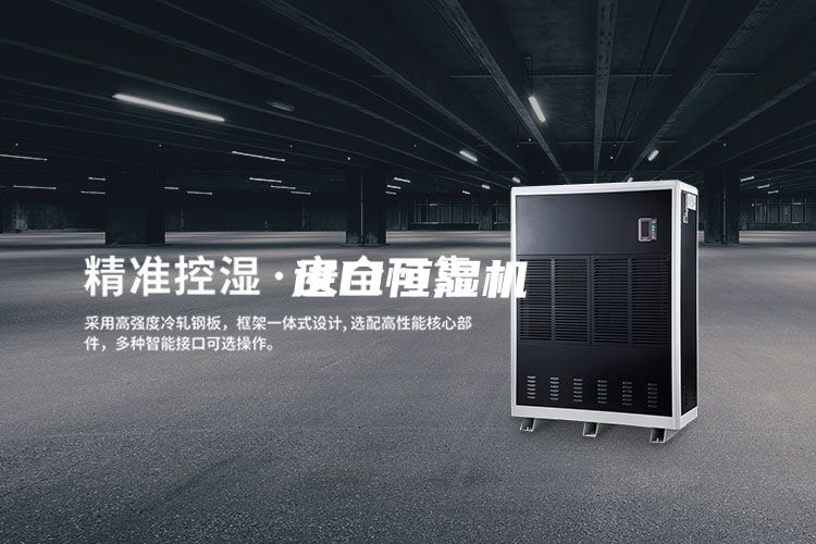 進口恒濕機