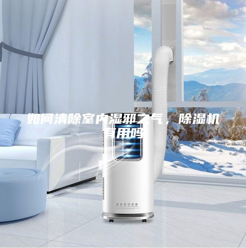 如何清除室內濕邪之氣，除濕機有用嗎